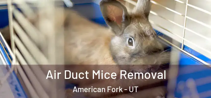 Air Duct Mice Removal American Fork - UT