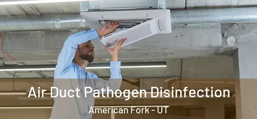 Air Duct Pathogen Disinfection American Fork - UT