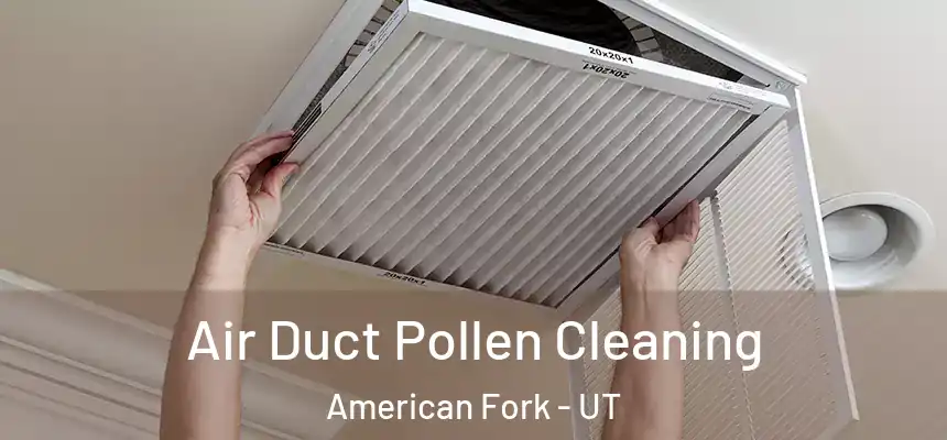  Air Duct Pollen Cleaning American Fork - UT