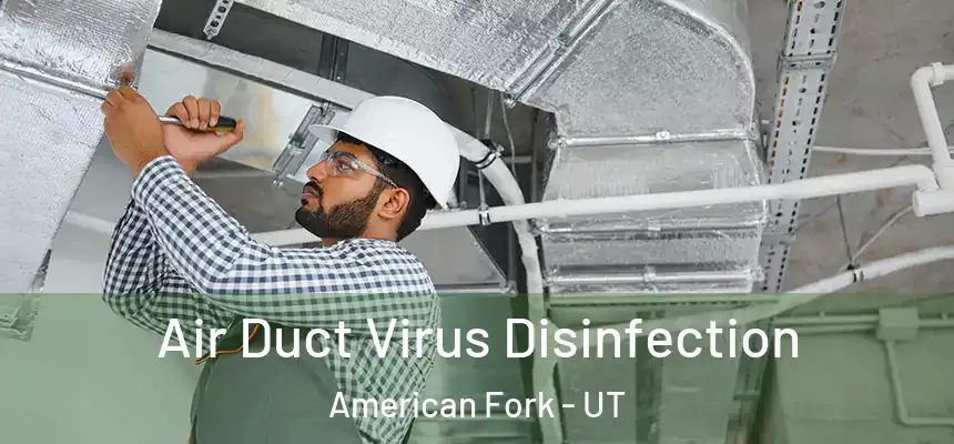  Air Duct Virus Disinfection American Fork - UT