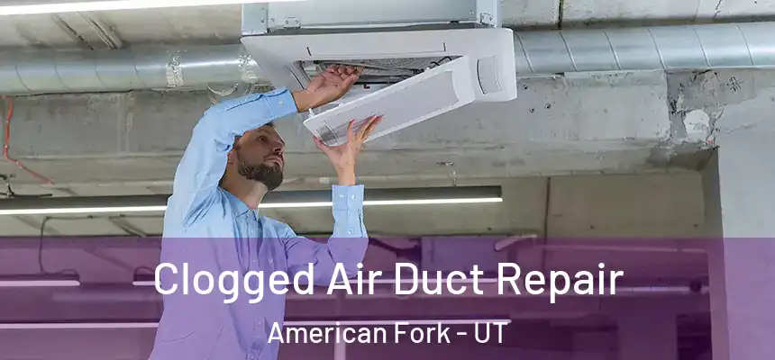  Clogged Air Duct Repair American Fork - UT