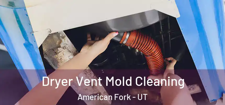 Dryer Vent Mold Cleaning American Fork - UT