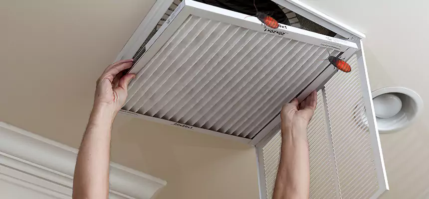 Preventive Cockroach-Proofing for Ducts in American Fork