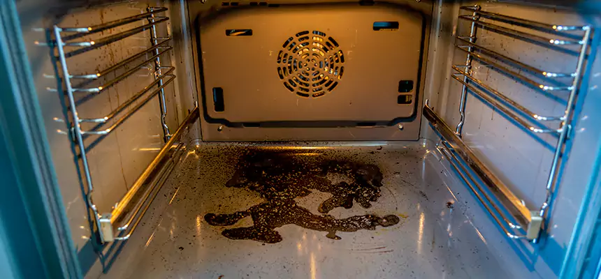 Our Dryer Vent Mold Cleaning Services in American Fork, UT