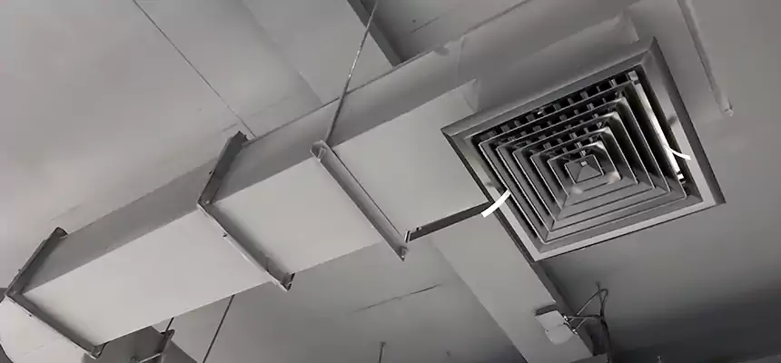 Our Pest Removal From Ducts Services in American Fork, UT