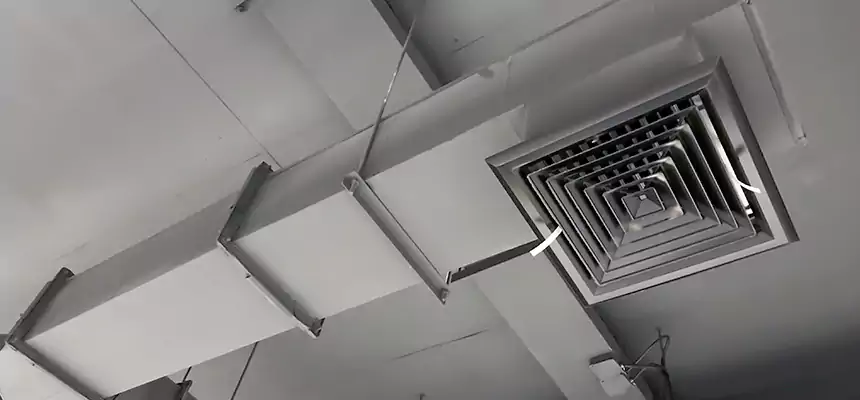 Our Rodent Droppings In Vents Services in American Fork, UT