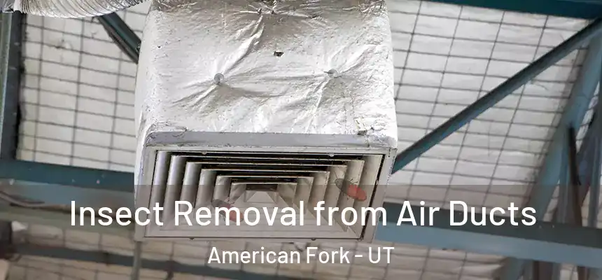 Insect Removal from Air Ducts American Fork - UT