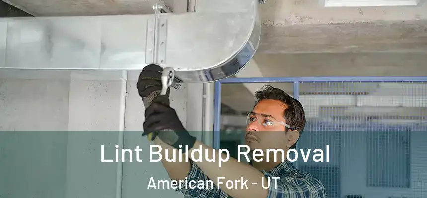 Lint Buildup Removal American Fork - UT