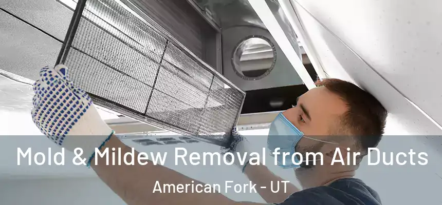  Mold & Mildew Removal from Air Ducts American Fork - UT