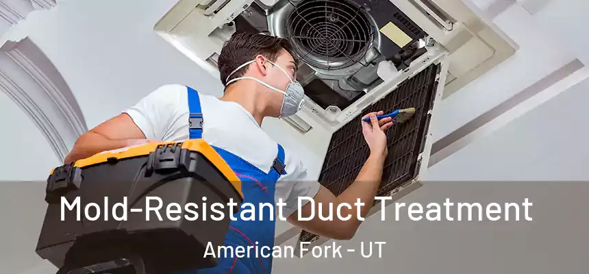 Mold-Resistant Duct Treatment American Fork - UT