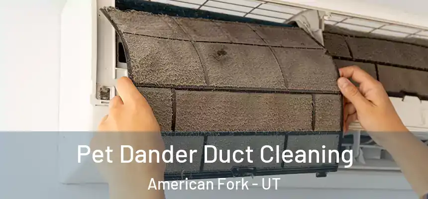  Pet Dander Duct Cleaning American Fork - UT