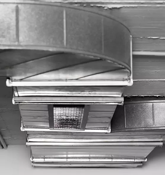 Professional Air Duct Pest Removal in American Fork, UT