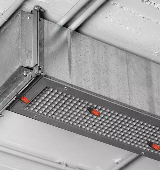 Affordable Insect Removal from Air Ducts in American Fork, UT