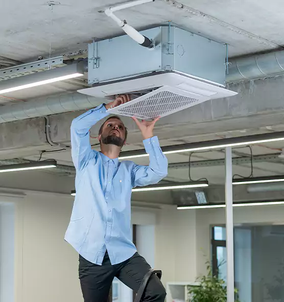 Advanced Rodent Droppings In Vents in American Fork, UT