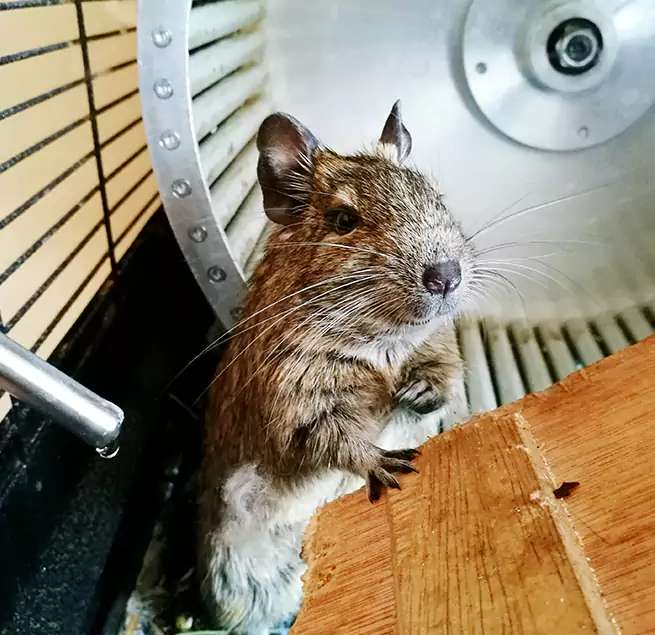 Why Homeowners & Businesses Trust Us American Fork, UT?